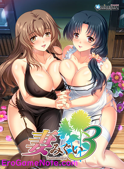 妻みぐい3