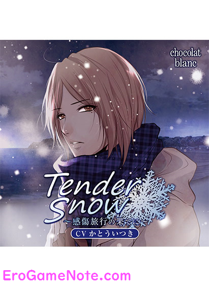 Tender Snow 〜感傷旅行の果てに〜